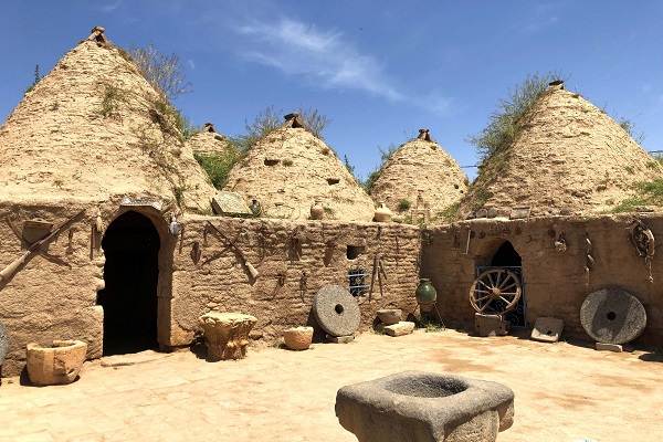 Şanlıurfa Harran Gezisi